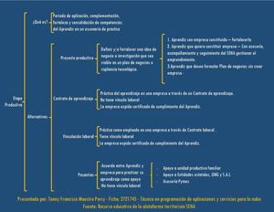 Cuadro sinóptico: Alternativas etapa productiva SENA