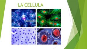 La Cellula