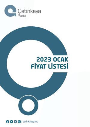 Cetinkaya 2023