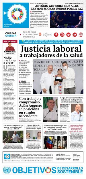 Chiapas Observa No 291