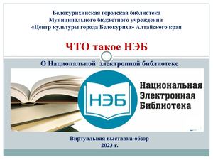 Что такое НЭБ