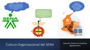 Cultura Organizacional Del Sena