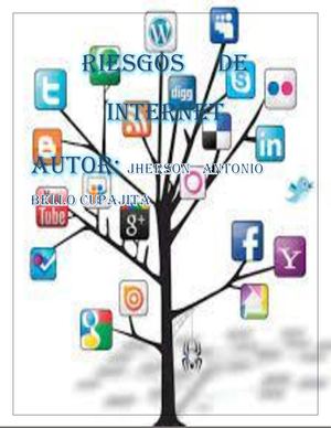 Cartilla 701 Riesgos De Interned