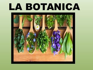 La Botanica