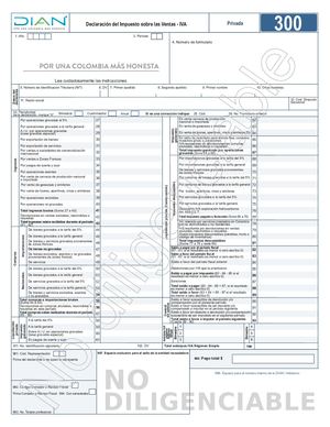 Formulario 300 2023 Colombia