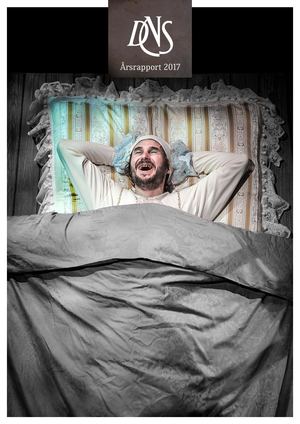 Dns Årsrapport 2017