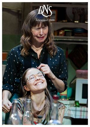 Dns Årsberetning 2020