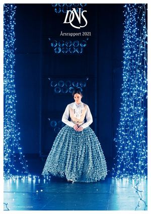 Dns Årsberetning 2021