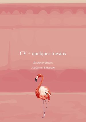 PORTFOLIO Benjamin Breton