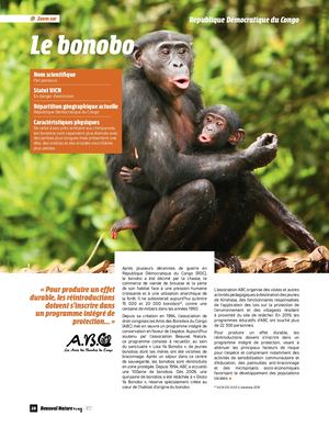 Dossier Bonobo Congo