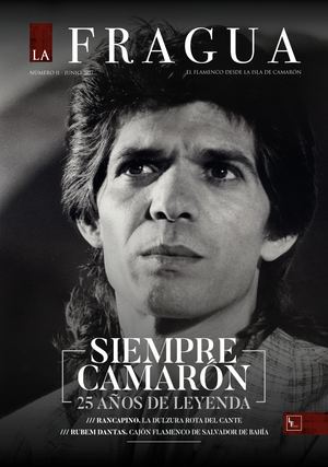 Revista La Fragua. Nº 11. Junio de 2017