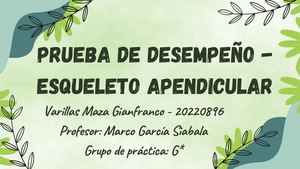 Prueba De Desempeño Esqueleto Apendicular