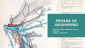 Prueba de desempeño Miembro toracico