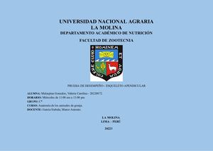 Miembro Torácico (Bovinos, Equinos, Porcinos)