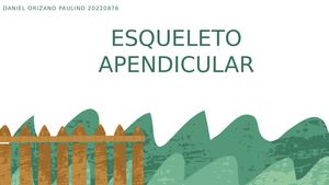 Esqueleto Apendicular Daniel Orizano