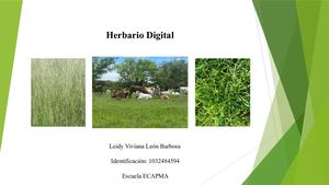 Presentación1 Herbario Digital