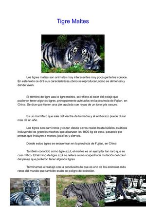 Ramón Andrés Jaramillo Enriquez Animal