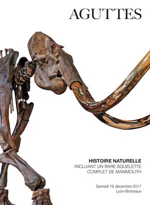 Histoire Naturelle – Incluant Un Rare Squelette Complet De Mammouth Aguttes Catalogue Decembre 2017