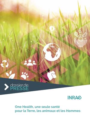 Inrae Dp One Health Web
