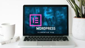 Wordpress Elementor Pro 1 10