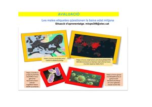 Avaluació Grups Matriu: Les males etiquetes qüestionen la baixa edat mitjana