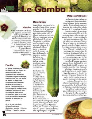 Tout savoir sur le Gombo