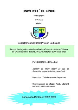 Rapport De Stage Musau Ilunga Jean Effectué Au Tgi Kindu