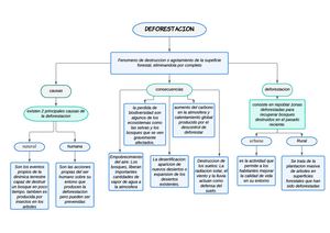 Mapa Conceptual: La Deforestacion