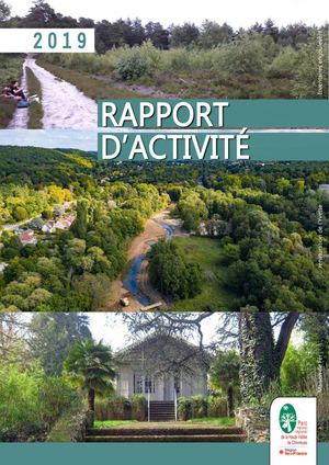Rapport Activite 2019