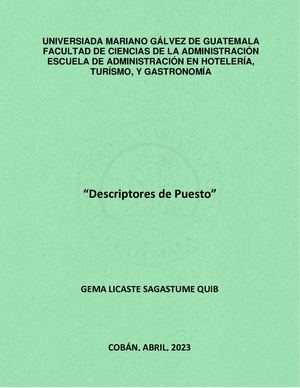 Formato De Descripcion Tecnica Y Perfil De Puesto