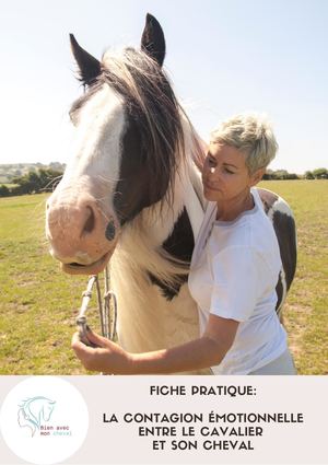Fiche Pratique La Contagion émotionnelle Entre Le Cavalier Et Son Cheval
