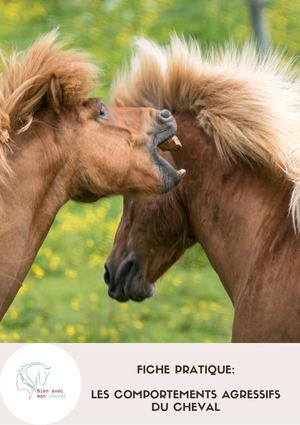 Fiche Pratique Les Comportements Agressifs Du Cheval