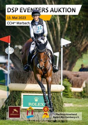 DSP Eventers AUKTION