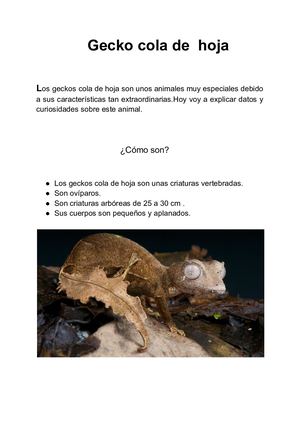 Gonzalo Cornago Navascués Animal