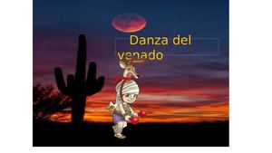 Dza Venado