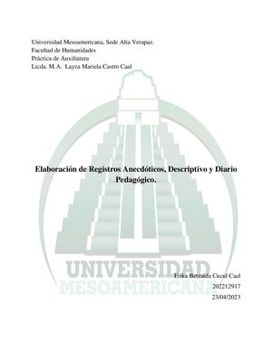 Erika Cucul: Diario Pedagógico, Registro Descriptivo yAnalitico