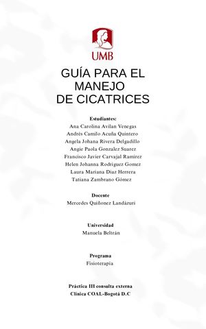 Guía Para El Manejo De Cicatrices en Fisioterapia