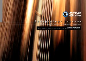 Présentation Steap Stailor Fr En