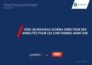 Etude Mobilites Information Version Synthetique
