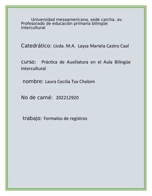 Diario Pedagógico, Registro descriptivo.