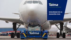 Seguridad De La Aviación Civil Pdf