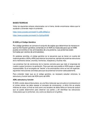 EL ADN Y EL CODIGO GENETICO