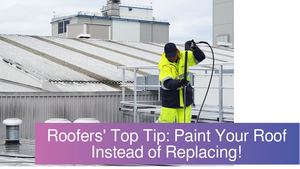 Save Money on Your Roofing in Palmerston North with Roof Painting, Say Experts