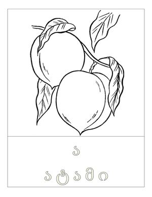 ანბანი სურათებით