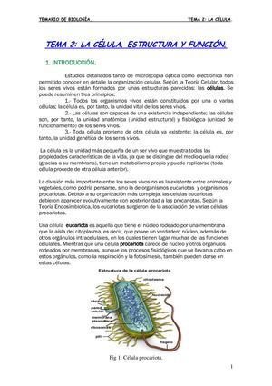 La Celula Estructura Y Funcion