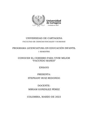 Conocer El Cerebro Para Vivir Mejor