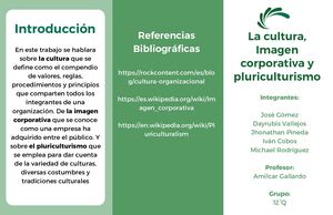 LA CULTURA, LA IMAGEN CORPORATIVA, EL PLURICULTURISMO.