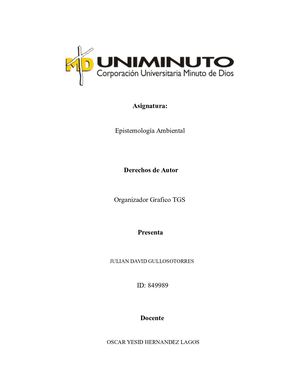 ACTIVIDAD 1 ORGANIZADOR GRAFICO TGS