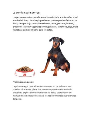Comida Para Perros documento