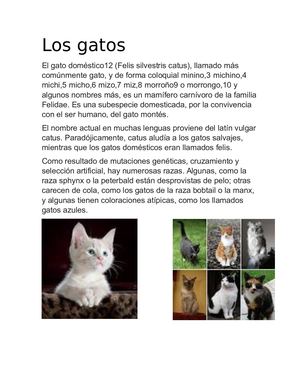 Los Gatos